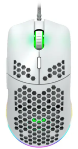 Canyon SGM11W
