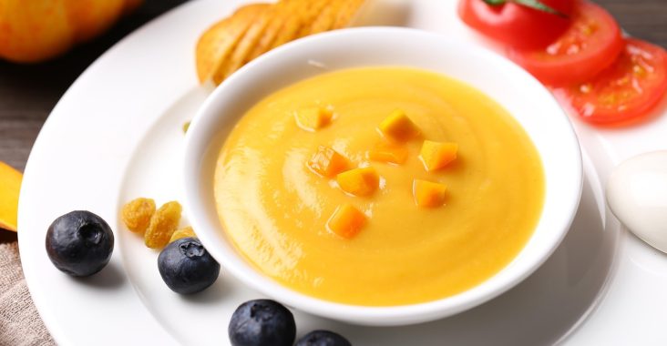 Baby Brezza Food Maker