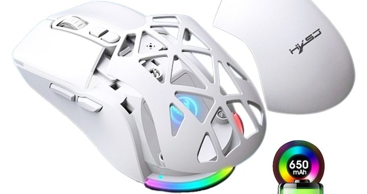 Mouse pentru gamingbirou Fbirddek® T26