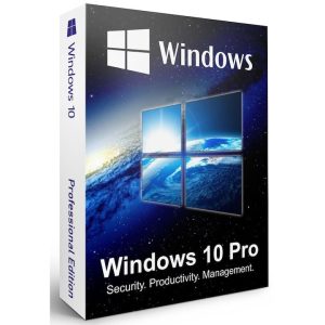 Microsoft Windows 10 Pro, 32/64-bit, Engleză, Stick USB bootabil inclus